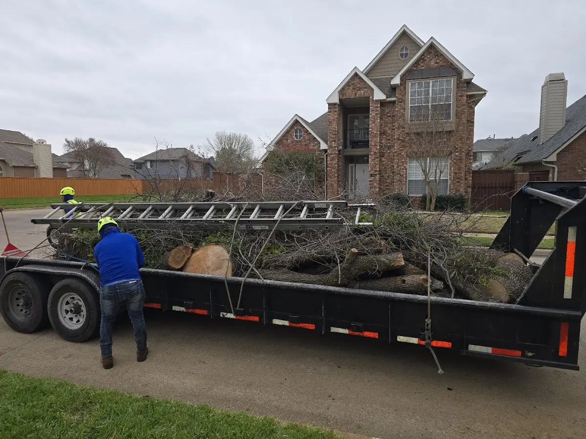 Expert Lot Clearing with proper safety equipment in Apple Springs